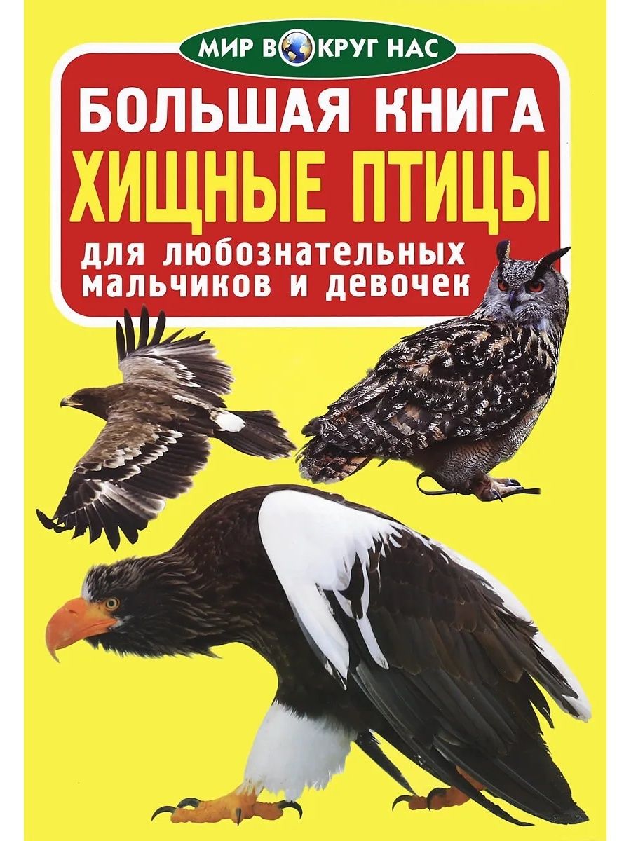 Книги о птицах. Энциклопедия большая книга для любознательных Хищные птицы. Книга Хищные птицы. Хищные птицы энциклопедия для детей. Мир вокруг нас большая книга.