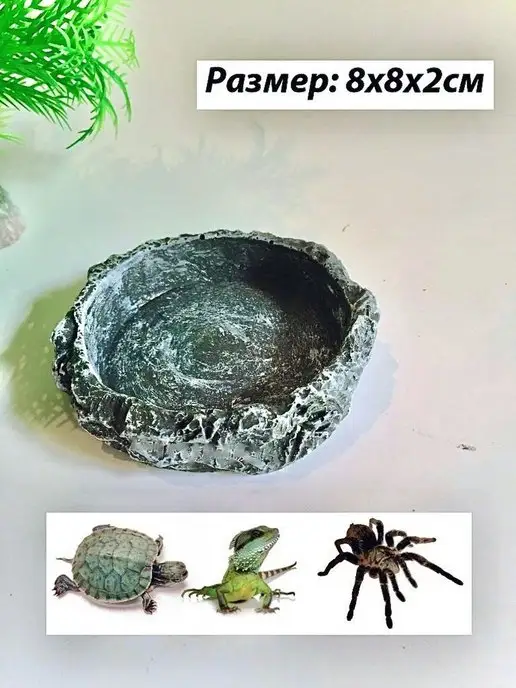 The home Кормушка для террариума и аквариума, черный, фото 2