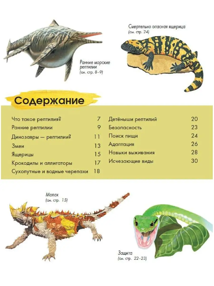 Рептилии. Энциклопедия для детей Издательство АСТ 92230395 купить за 359 ₽  в интернет-магазине Wildberries