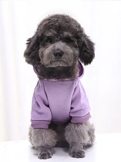 T-Pets Одежда для животных. Кофта толстовка для собак и кошек, фиолетовый, фото 6