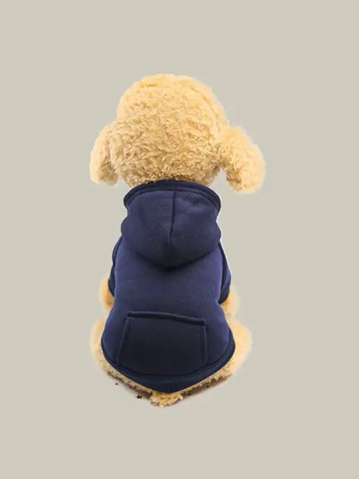 T-Pets Одежда для животных. Кофта толстовка для собак и кошек, синий, фото 7
