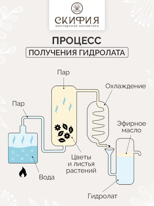 Скифия Гидролат мяты для лица натуральный, зеленый, фото 4