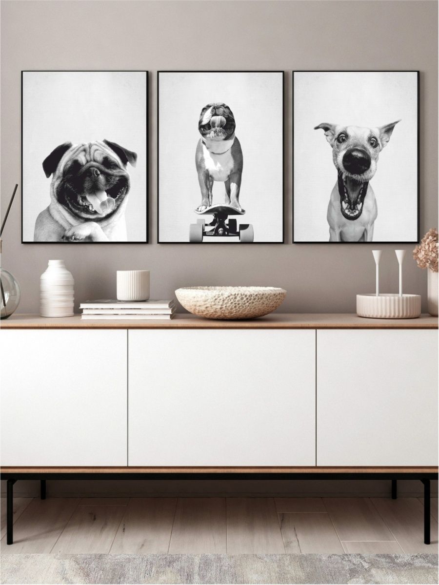 Постер собаки. Постеры с собаками. Прикольные интерьерные постеры с собаками. Постеры с собаками черно-белые. Стильные постеры собак на стену.