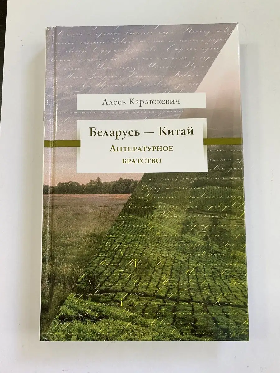 Беларусь – Китай: литературное братство Издательство Звязда 92344559 купить  за 1 321 ₽ в интернет-магазине Wildberries