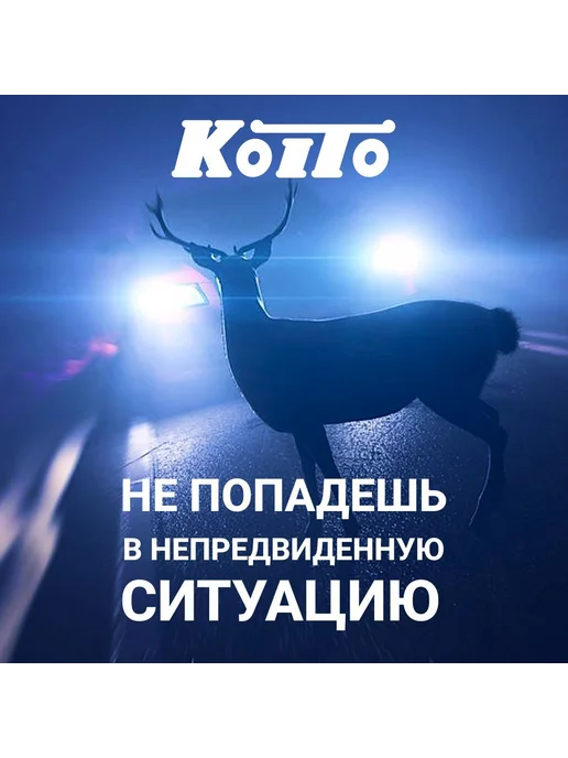 KOITO Лампа автомобильная H11 галогенная 12В 55Вт 3200К, 55 Вт, фото 5