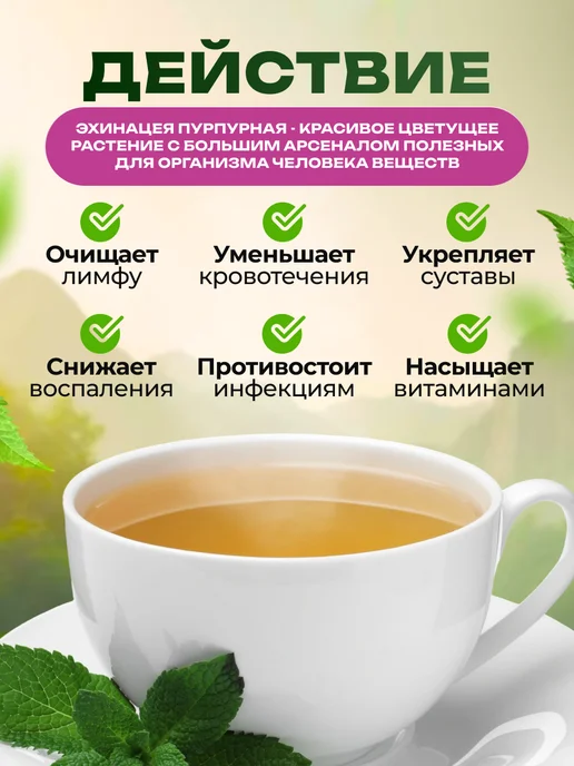 Мед и Конфитюр Эхинацея пурпурная трава 50гр, 50 г, фото 2