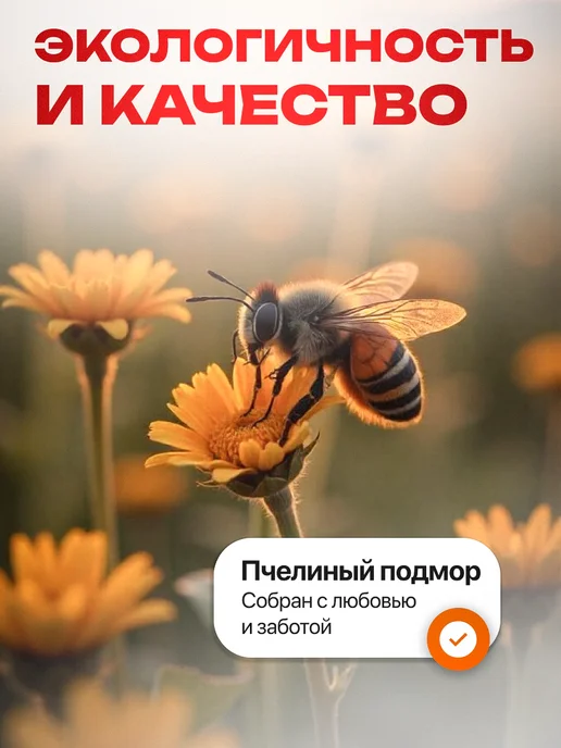 Мед и Конфитюр Апибальзам пчелиный подмор (настойка) 12 % 265 мл, 265 мл, фото 6