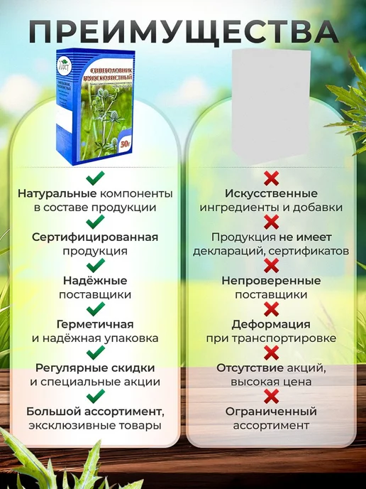 Мед и Конфитюр Синеголовник, трава 50 гр, 50 г, фото 6