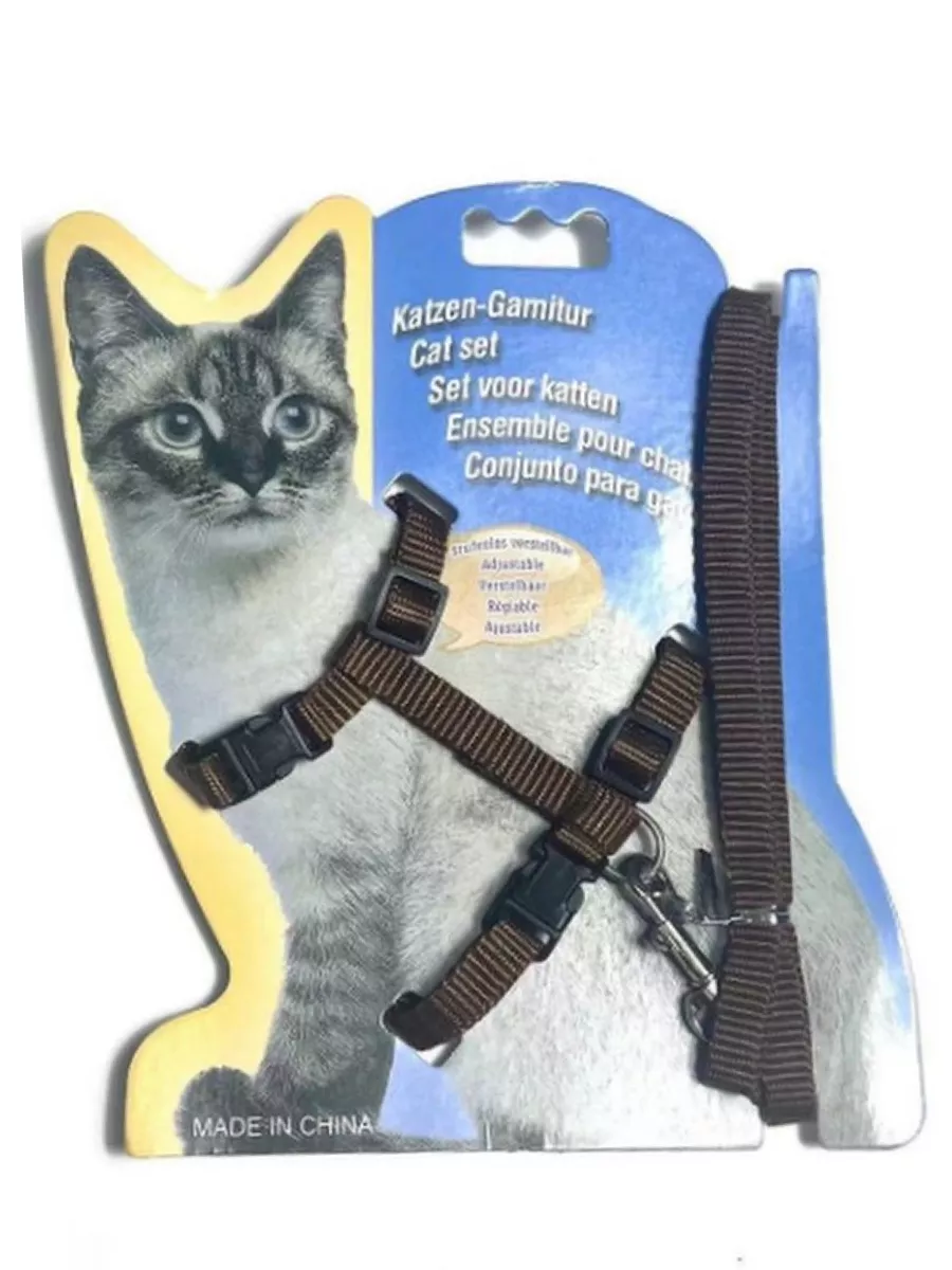 Как одевать и выгуливать кошку на поводке