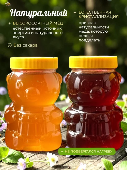 LEOFOX Мед набор Разнотравье, Гречишный 3 кг Сбор 2026, 3 кг, фото 2