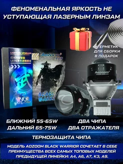 Линзы Biled Black Warrior 2022 AoZoom 93214192 купить за 8 748 ₽ в интернет-магазине Wildberries