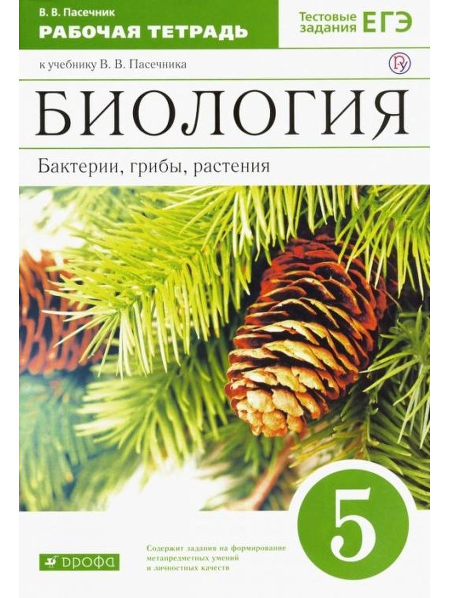 Бактерии, грибы, растения. 5 класс ДРОФА 93252035 купить за 357 ₽ в  интернет-магазине Wildberries