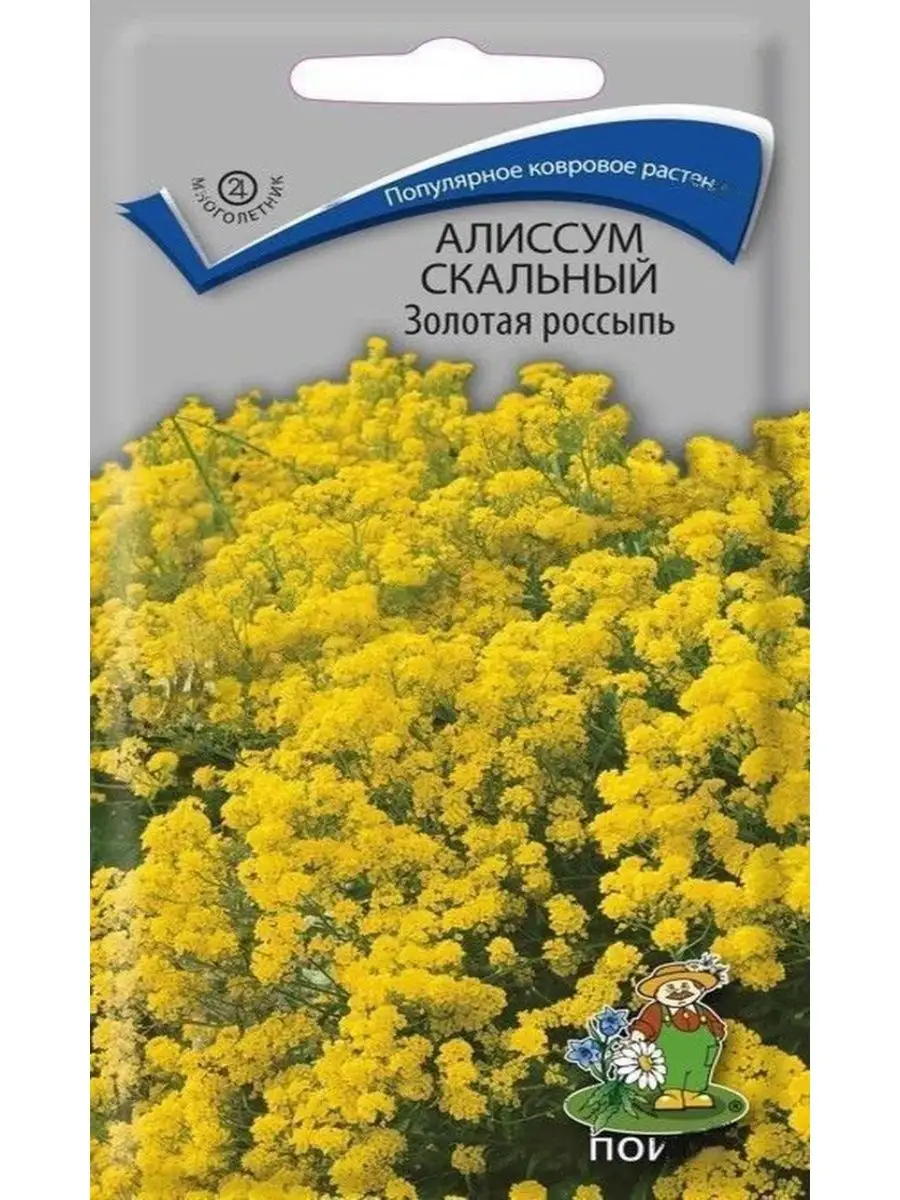 Алиссум Золотая россыпь, 2 пакета Агрохолдинг Поиск 93256856 купить за 197  ₽ в интернет-магазине Wildberries