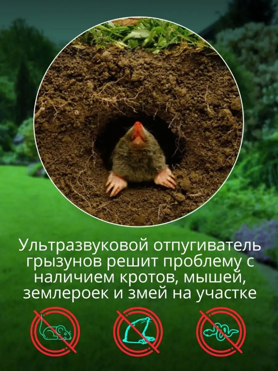 Ультразвуковые отпугиватели грызунов купить в городе Владимир по недорогой цене