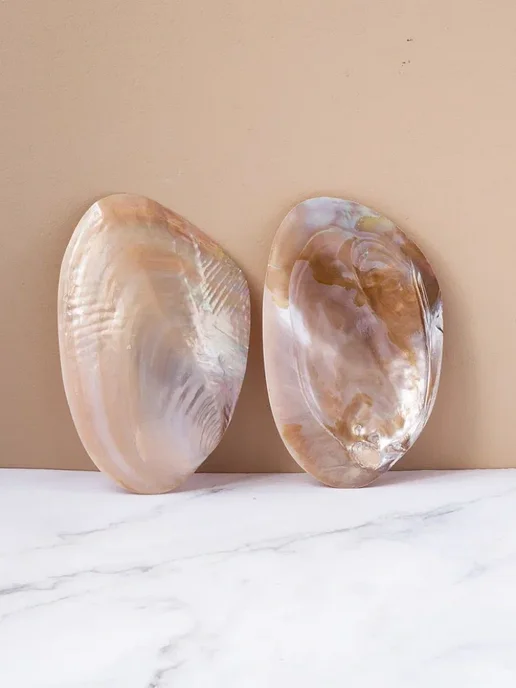 AESTHETE home Интерьерная подставка для украшений ракушка, фиолетовый, фото 2