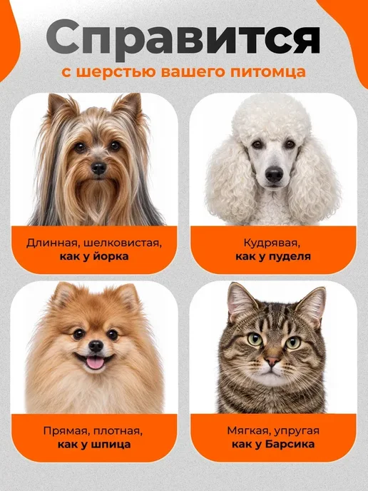 Булка Машинка для стрижки собак и кошек, вариант, фото 3