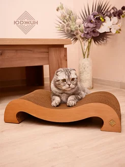 Когтеточка для кошки, картонная с лежанкой Юджин 93551484 купить за 1 047 ₽ в интернет-магазине Wildberries