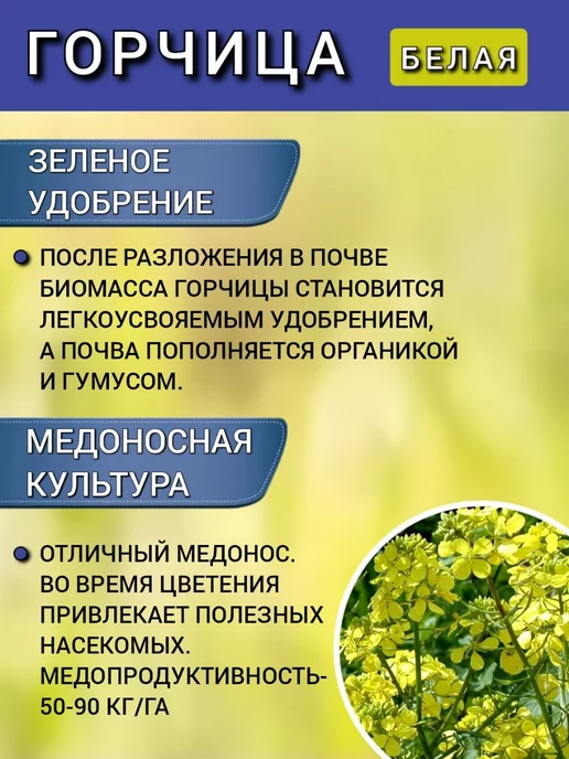 АГРОУСПЕХ Горчица семена на посев сидератов, 1 кг 2 шт, 1 кг, 1 шт, фото 2