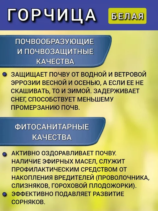 АГРОУСПЕХ Горчица семена на посев сидератов, 1 кг 2 шт, 1 кг, 1 шт, фото 3