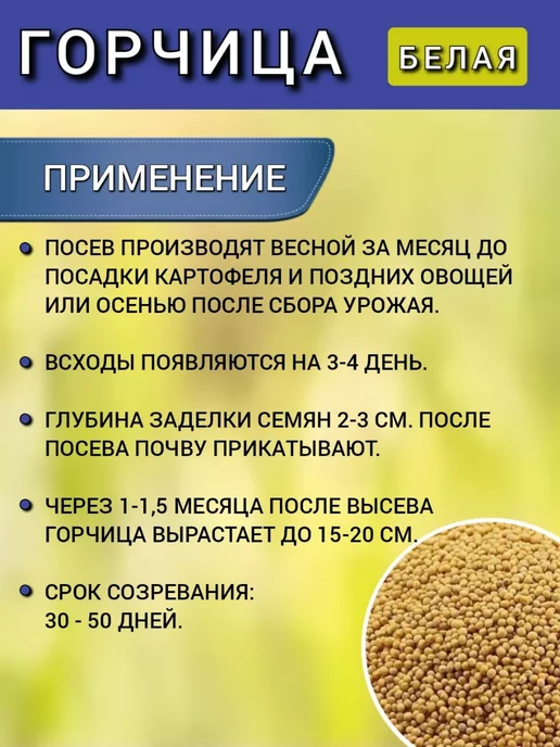АГРОУСПЕХ Горчица семена на посев сидератов, 1 кг 2 шт, 1 кг, 1 шт, фото 4