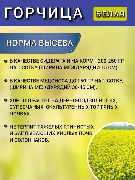 АГРОУСПЕХ Горчица семена на посев сидератов, 1 кг 2 шт, 1 кг, 1 шт, фото 5