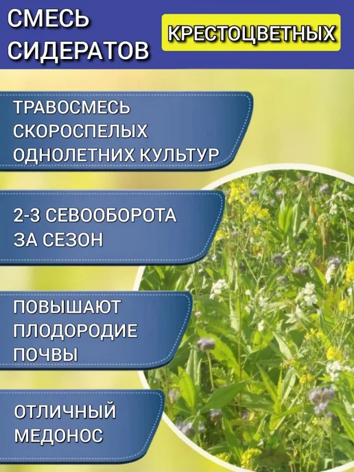 АГРОУСПЕХ Смесь сидератов 1 кг на 4 сотки горчица рапс для плодородия, 1 кг, фото 2