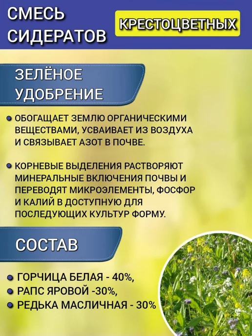 АГРОУСПЕХ Смесь сидератов 1 кг на 4 сотки горчица рапс для плодородия, 1 кг, фото 3