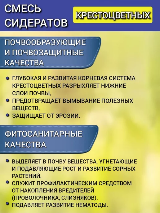 АГРОУСПЕХ Смесь сидератов 1 кг на 4 сотки горчица рапс для плодородия, 1 кг, фото 4