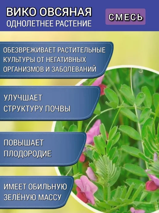 АГРОУСПЕХ Cидерат для огорода Вико-овсяная смесь 1 кг, 1 шт, 1 кг, 1 шт, фото 2