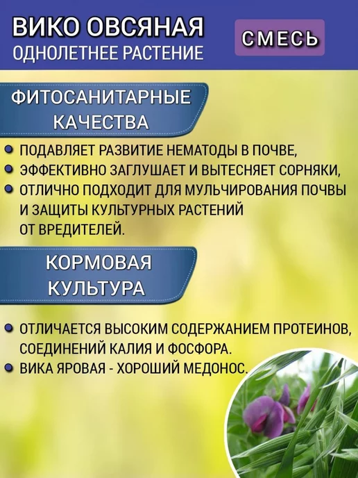 АГРОУСПЕХ Cидерат для огорода Вико-овсяная смесь 1 кг, 1 шт, 1 кг, 1 шт, фото 4