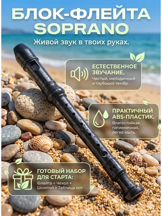 Swan Блокфлейта музыкальный инструмент, черный