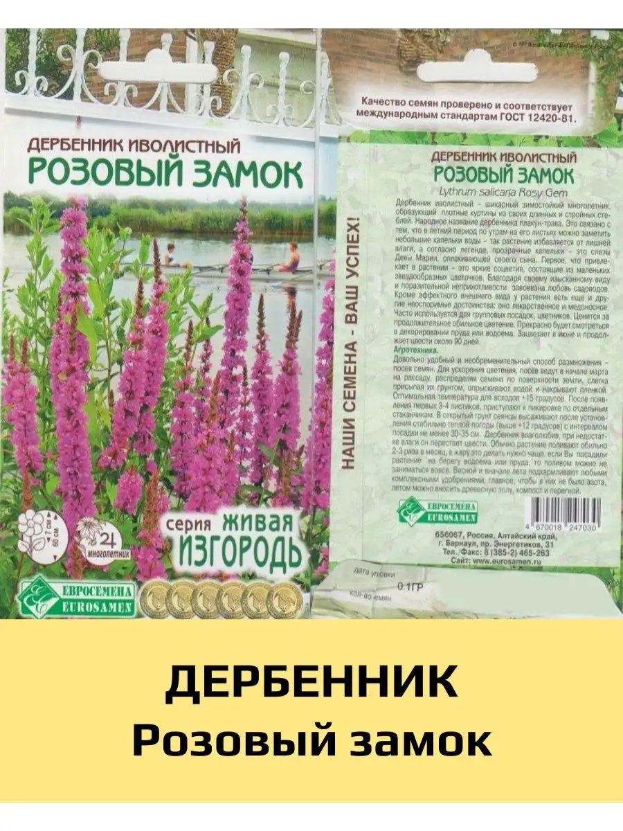 Семена Дербенник Розовый замок, 1 уп ЕВРОСЕМЕНА 93659877 купить за 190 ₽ в  интернет-магазине Wildberries