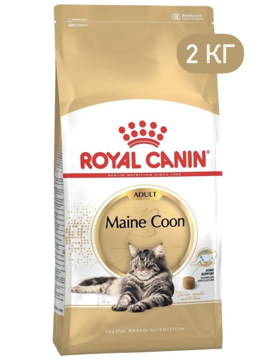 Canin maine coon. Royal Canin Maine Coon.