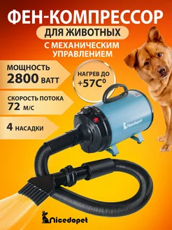 Фен-компрессор для сушки животных 2800 Вт Nicedopet 94159824 купить за 5 967 ₽ в интернет-магазине Wildberries