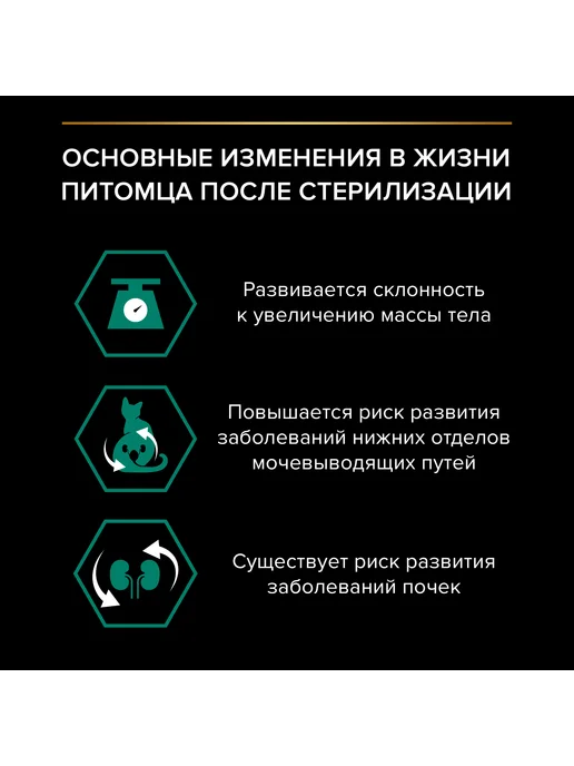 PRO PLAN Влажный корм стерилизованных кошек, говядина в соусе 26x85гр, 85 г, фото 8