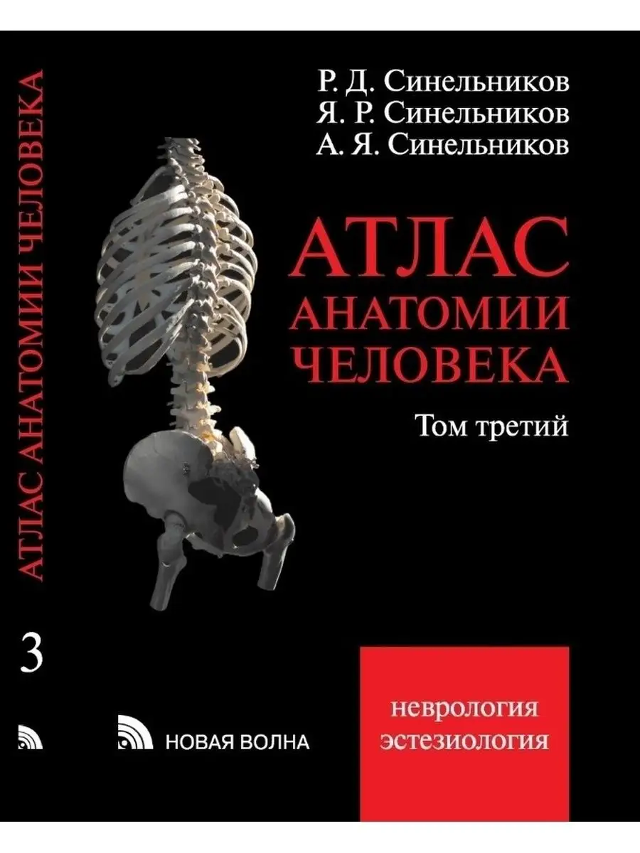 Атлас анатомии человека. Том 3. Синельников Новая Волна 94224022 купить за  5 607 ₽ в интернет-магазине Wildberries