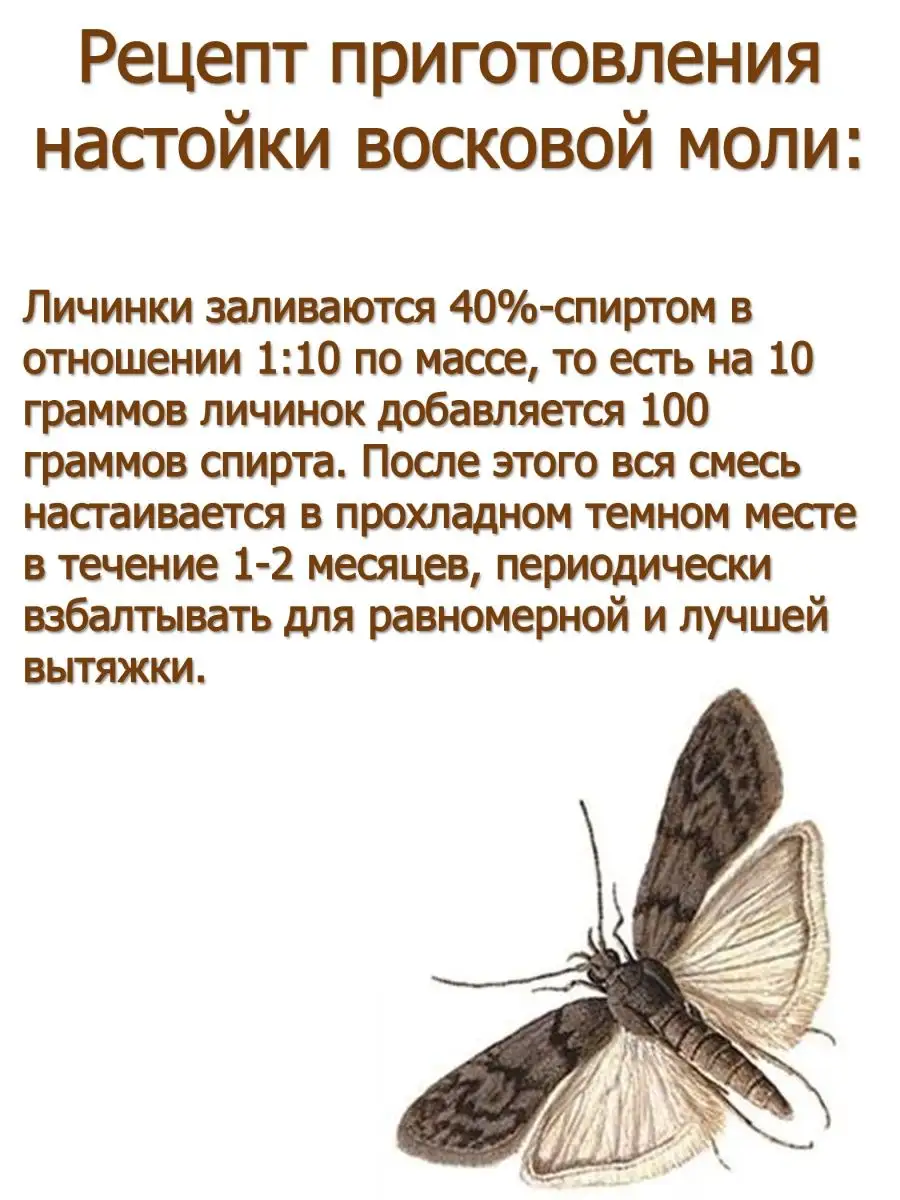 Экскременты личинок восковой моли, Огневки MEDOLUBOV 94313369 купить за 330  ₽ в интернет-магазине Wildberries