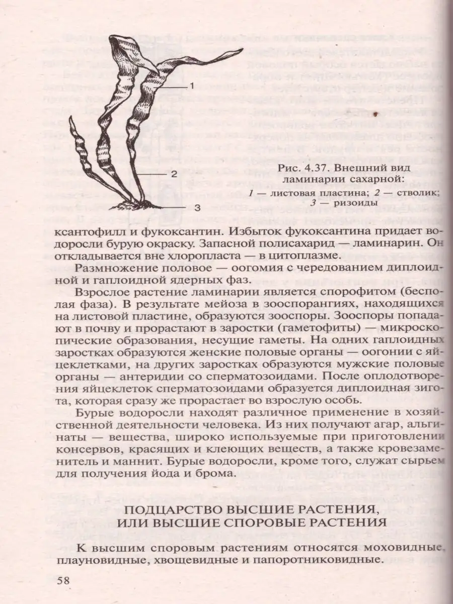 Биология. Чебышев. Пособие для поступающих в вузы. Новая Волна 94354542  купить за 491 ₽ в интернет-магазине Wildberries