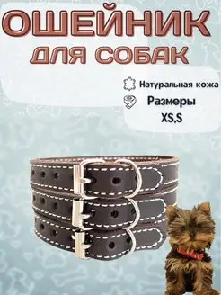 Ошейник для мелких пород собак dog quince 94417345 купить за 270 ₽ в интернет-магазине Wildberries