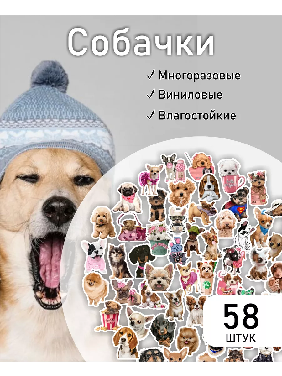 Наклейки котики собачки Животные Шпиц LIKE stikers 94570341 купить за 179 ₽  в интернет-магазине Wildberries