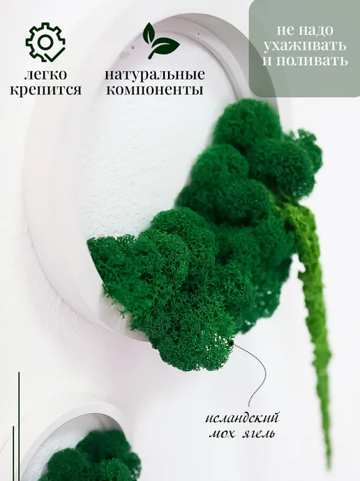 STABFLORA Кашпо настенное декоративное из гипса с мхом 10 и 20 см, 3шт, 3 шт, фото 2