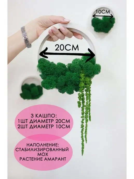 STABFLORA Кашпо настенное декоративное из гипса с мхом 10 и 20 см, 3шт, 3 шт, фото 5