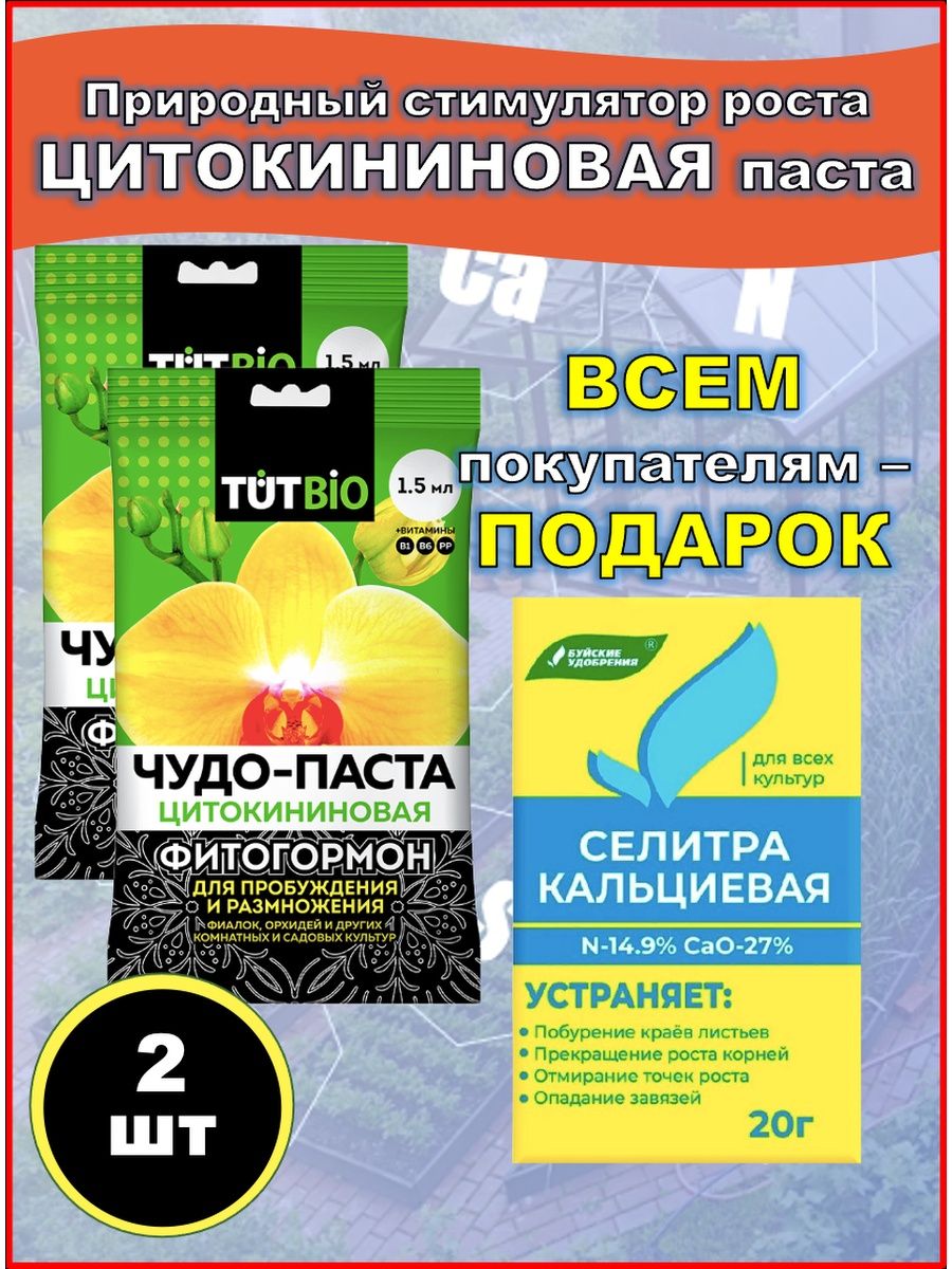 Цитокининовая паста. Паста для цветов цитокининовая. Орхидея почкорост.