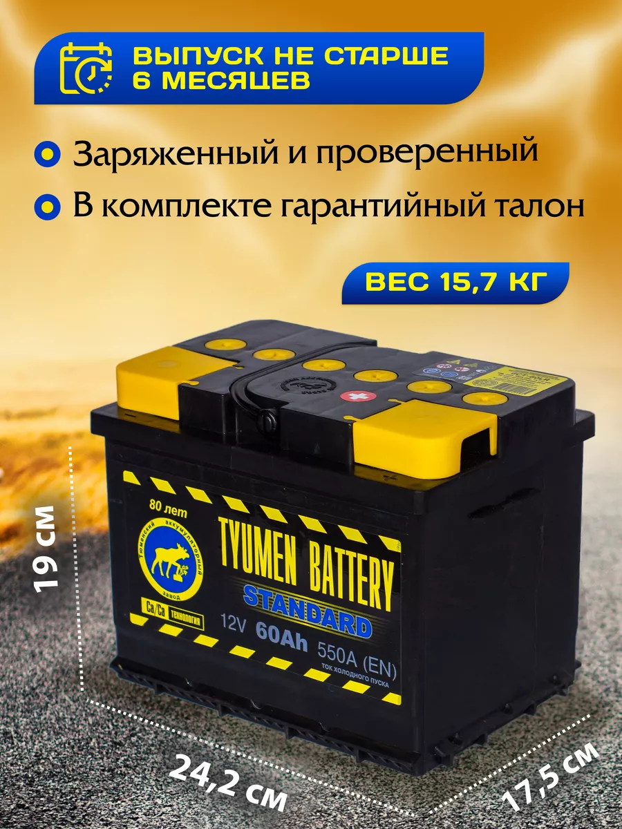 Аккумулятор автомобильный 60 12v обратная STANDARD Тюмень 94690549 купить  за 4 934 ₽ в интернет-магазине Wildberries