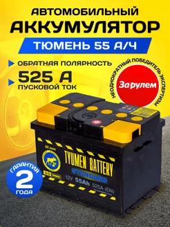 Аккумулятор автомобильный 55 12v обратная STANDARD Тюмень 94690561 купить за 6 429 ₽ в интернет-магазине Wildberries