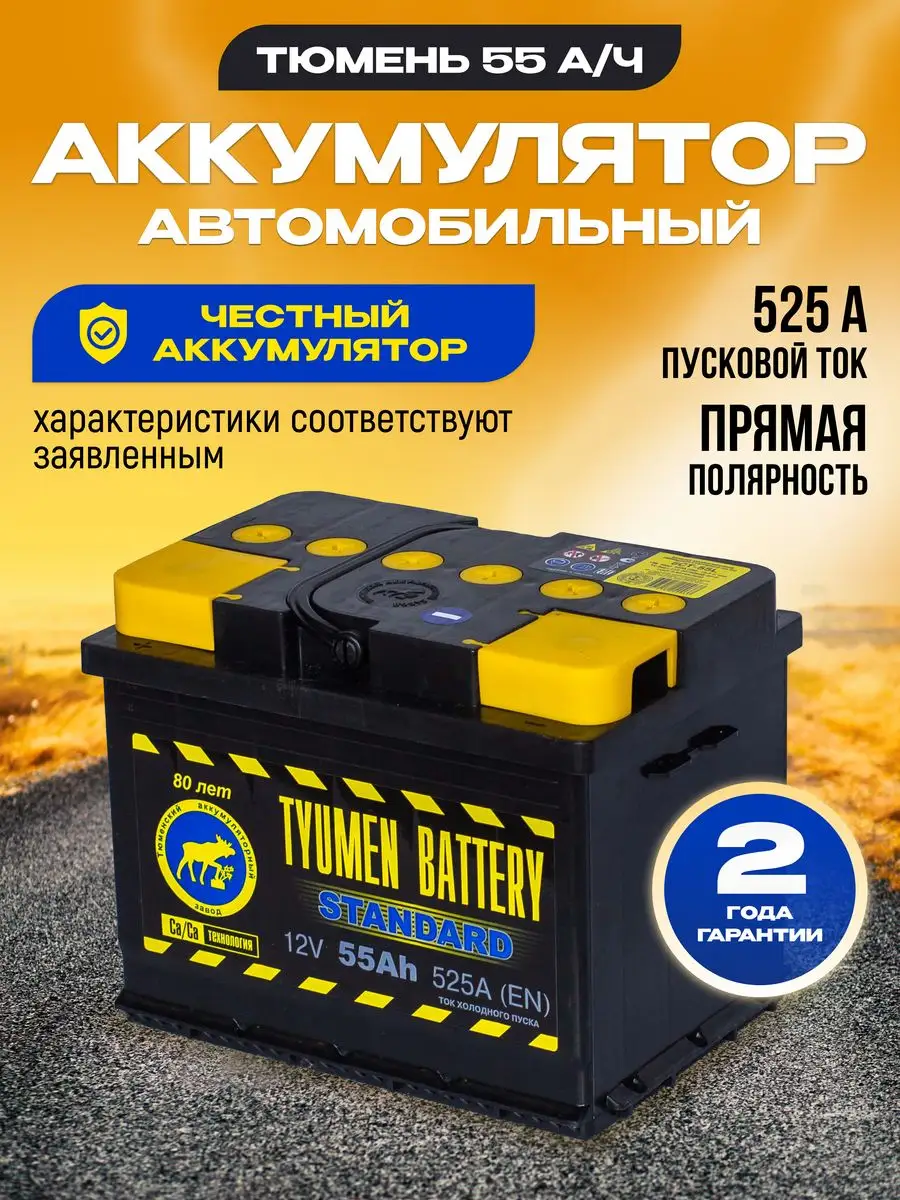 Аккумулятор автомобильный 55 12v прямая STANDARD Тюмень 94690564 купить за  5 186 ₽ в интернет-магазине Wildberries