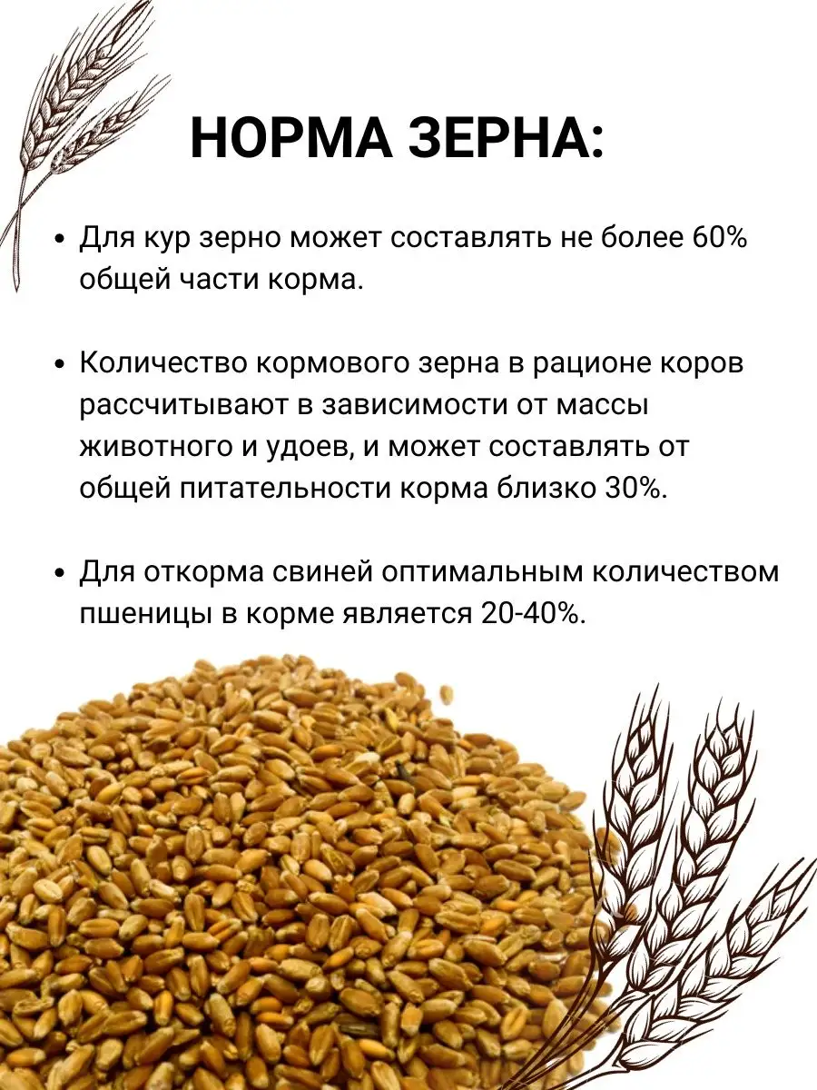 AS/SV Пшеница кормовая для птиц и животных