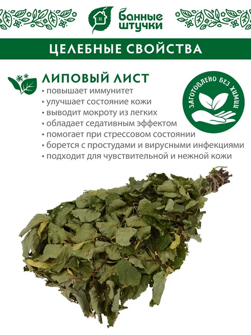 Банные Штучки Веник липовый, вариант, фото 5