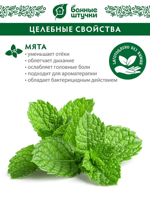 Банные Штучки Веник дубовый с мятой, вариант, фото 5
