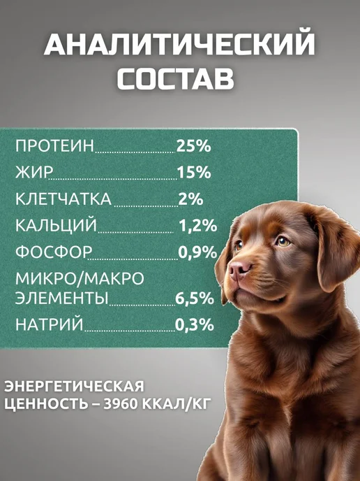 Сухой корм Bisko Биско для собак, крупные, щенки, 15,15 кг, фото 3